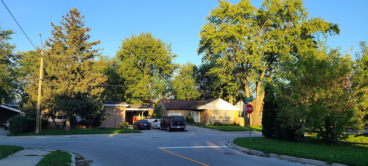 Tree-lined residential street in Richmond Hill, Ontario
